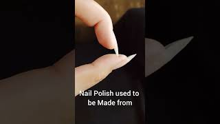 Cool Nail Fact #shorts