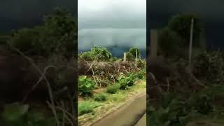 Lovely Nature view video 🌧️🌧️| M barish ka mousam hu tujhe ek din bhaunga song status | rj 18 status