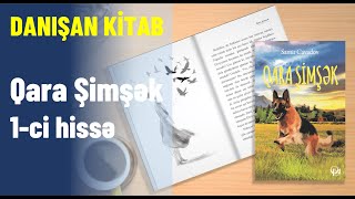 Qara Şimşək. 1-ci hissə.