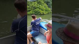 See the Crocodiles at the Black River Safari