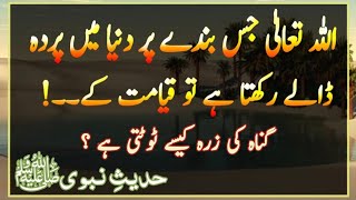 Is Adami Par ALLAH TALA Qayamat Ke Din Parda Dale Ga | Ghunah Ki Zira Toot Jae Gi ?  | AQH Official