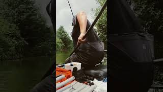 Big Packington mugger #fishing #fishingvideos #matchfishing #bigcarp