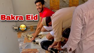 Bakra Eid 2022 🐐| Bakra khud halal krny ki nakam koshish | Bakra eid 2k22