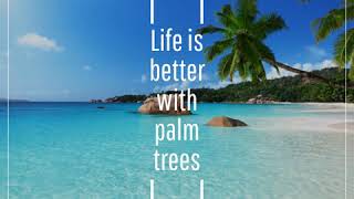 Life is 
better 
with 
palm 
trees