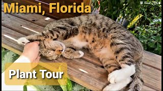 Miami, Florida Plant Nursery Tours | Packing a Plant in Your Luggage | Garden Center Tour | Ep9