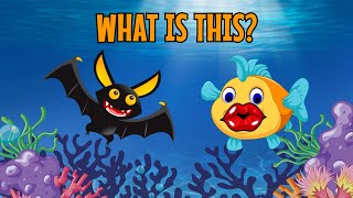 What is this? Various ocean creatures... 🐠🦈🐟🐸😺🐹🐓🐨🐏🐺🐘🦁🐅🐀🐇🐝🦢🦣🦬