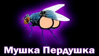 ✅По слогам -  Мушка Пердушка 🐜🌬