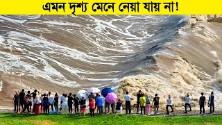 এমন দৃশ্য সহ্য করা যায় না ! চোখের সামনে থেকে সব শেষ হয়ে যাচ্ছে !