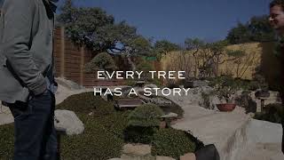 Every Tree Has a Story