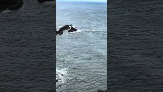 View of Dunnottar Castle, Scotland