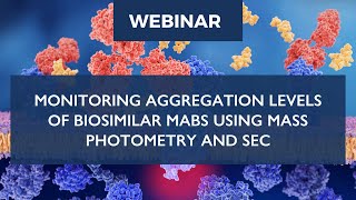 Monitoring aggregation levels of biosimilar mAbs using mass photometry and SEC