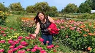 Flower Fest (Cultus Lake, BC - Canada