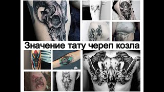 Значение тату череп козла - особенности рисунка и фото примеры для tattoo-photo.ru