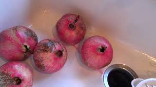 Momma Debbie's Pomegranate Juice Making! (Thanksgiving Prep!)