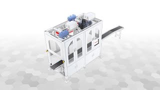 Automatic Case Packing Solution for  Random Sachets, with Sorting Device, Vision System, Case Packer