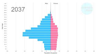 Qatar - the world's weirdest population pyramid. Animated.