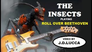 THE INSECTS / Roll Over Beethoven (Chuck Berry)- Paródia musical/Música/Show/Rock-Vídeo by J.D.Lucca