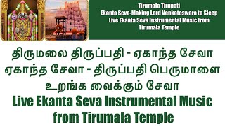 Live Ekanta Seva Music from Tirumala Temple|Playing Music & Making Lord Venkateswara to Sleep