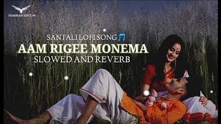 AAM RIGEE MONEMA 🌾🥀| New Santali lofi song 2024 @Hopon_babu_92 #lofi #santali