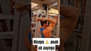 Biceps peak workout #biceps #bicepsworkout #shortsvideo #viralvideo @tarun_kapoor_fitness