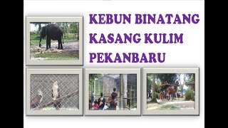 Kebun Binatang Kasang Kulim Pekanbaru Seru