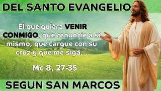 SANTO EVANGELIO SEGUN SAN MARCOS| Mc 8, 27-35 #jesus #dios #oracion #fe #bible #evangelho