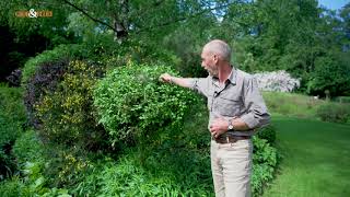 G&B OpentuinTV: De Sallandse Landschapstuin van Annelies en Frank Naber