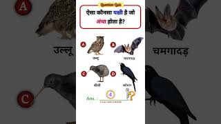 सही विकल्प comment करें | GK Quiz | #shorts