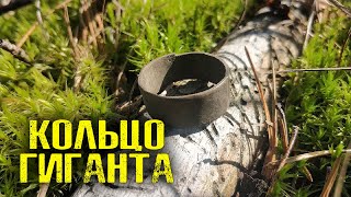 ДАВНО НЕ БЫЛ НА КОПЕ. ВОТ ЧТО НАШЁЛ В ЛЕСУ. Коп монет в Україні. Онлайн коп 2021. Пошук старовини