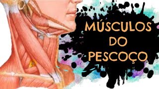 AULA 23:  MÚSCULOS DO PESCOÇO