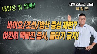 [내일장 뭐 살까?] 바이오/조선/방산 중심으로 주도 섹터 재편 중인 시장, 그러나 여전히 맥빠진 분위기, 아직은 거리두고 지켜보자! | 박창윤 대표 | 주식 | 주가 | 투자 |