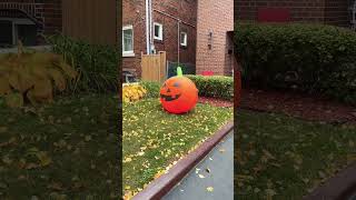 HALLOWEEN DECORATIONS IN CANADA 🇨🇦 #halloween #halloween2024 #halloweendecor