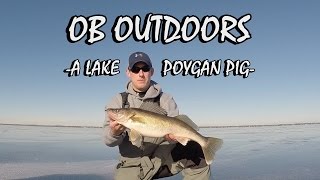 BIG Lake Poygan Walleye (While Ice Fishing) - OB Outdoors