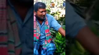 Biggest Banana market in Bangladesh #short #shortvideo #shortsbeta