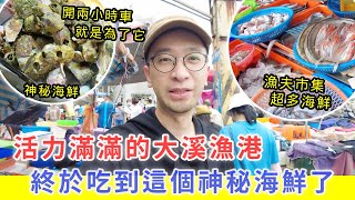 【移民台灣生活】活力滿滿的大溪漁港，特地開兩小時車去吃到這個神秘海鮮｜超美的蘭陽博物館（含少量合作）#大溪漁港 #蘭陽博物館 #火山藤壺