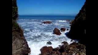 National Park beach Paparoa