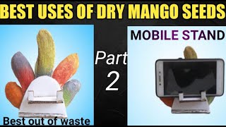 Uses of Dry Mango seeds /PART 2 /#mobilestand #gotlauses #usefulidea #dhairyascraft .