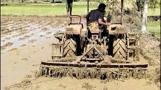 Paddling cultivation in field