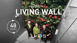 How to create a living wall?