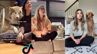 Call your Dogs name When He's next to you TikTok Compilation