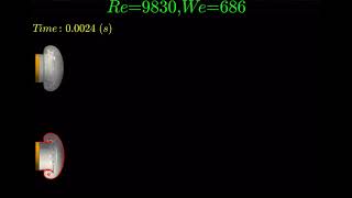 Transient turbulent jet: vortex-interface interactions