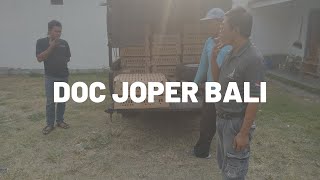 Doc Joper Bali