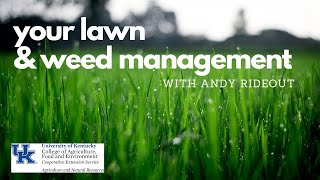 Your Lawn & Weed Management