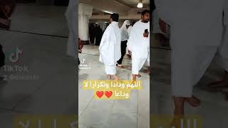 يارب عوده قريبه ودادا وتكرارا لا وداعا