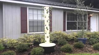 36 Strawberry Plants - Vertically! 7 FT Tall Strawberry Wall