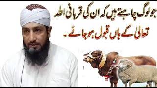 Aqeeda e Qurbani | Molana Tahir Raheem | 2022