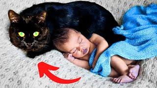 When Parents Learn Why the Cat Won’t Let the Baby Sleep Alone, They Call the Cops