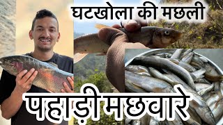 किस तरह गाँव की नदी में मछली पकड़ा जाता है #fishing #machli #machli_jal_ki_rani_hai #pangla