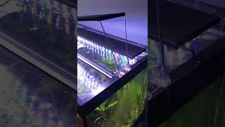 Aquarium light risers. Link in comments #aquarium #lights #shorts