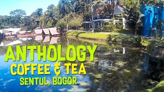 Anthology Coffee and Tea